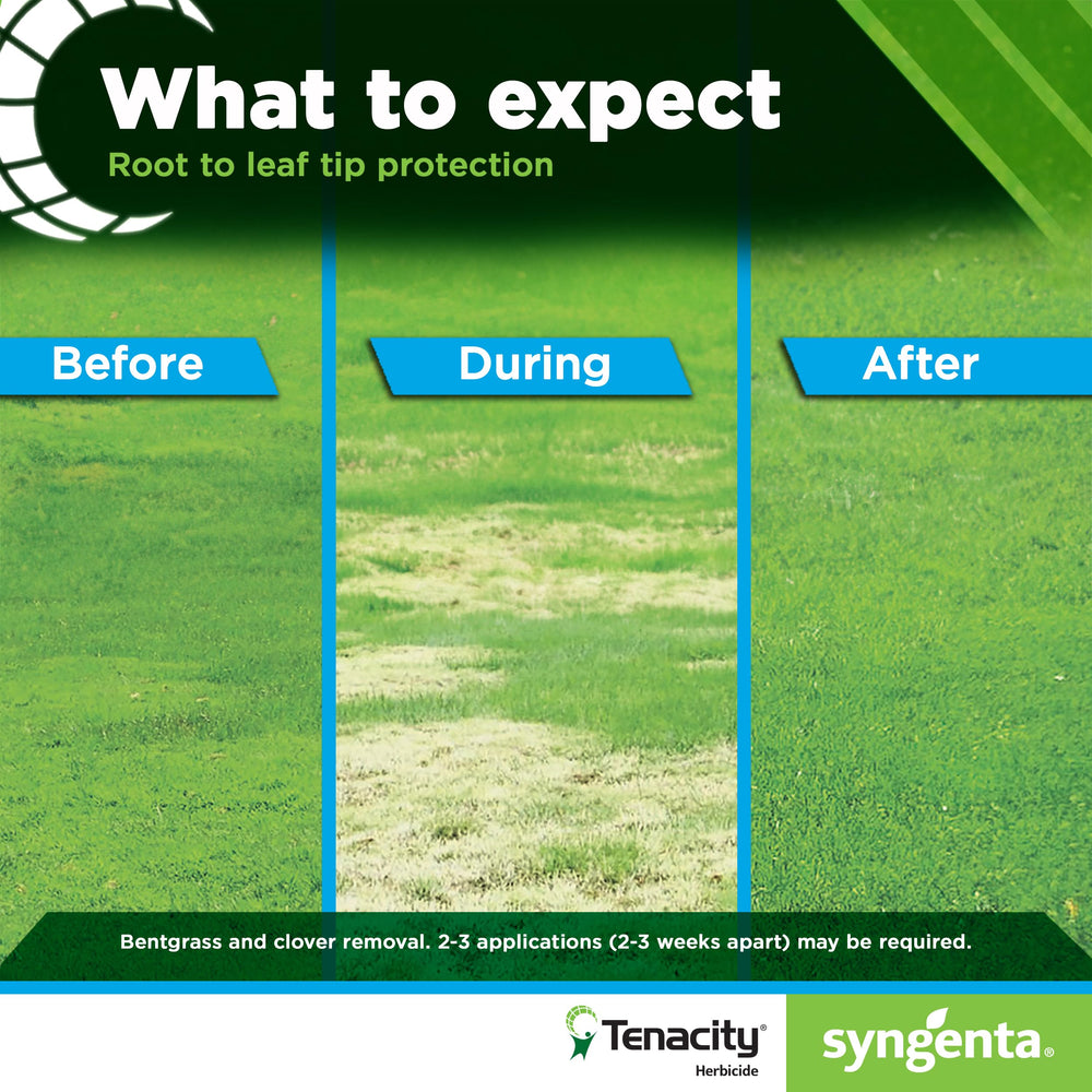 Syngenta Tenacity Turf target weeds list image highlights common lawn invaders.