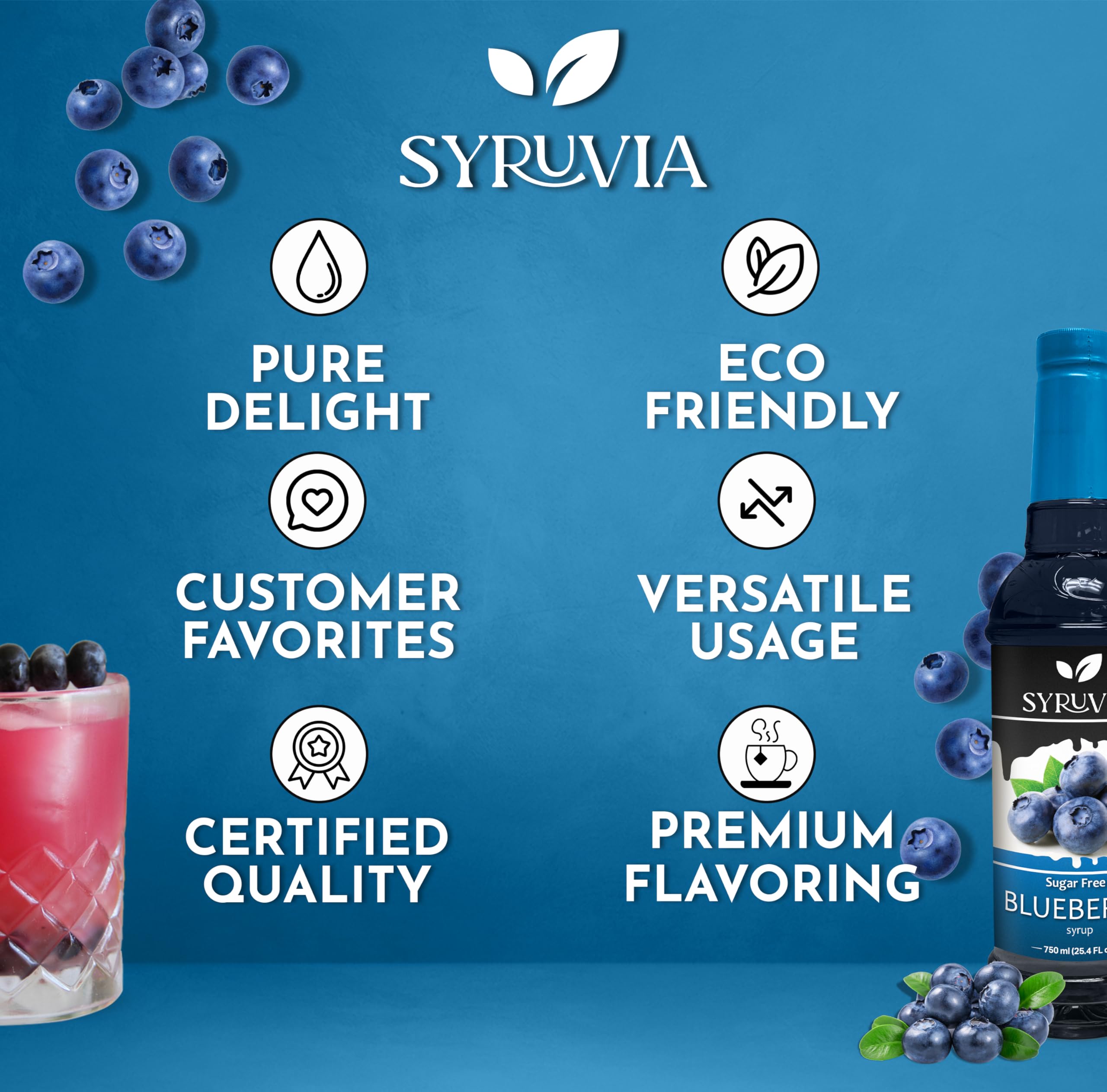 Dessert dish drizzled with SYRUVIA blueberry syrup for fruit notes.