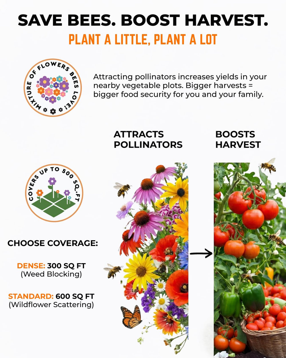 Tactiko Survival garden seeds closeup showing diverse annuals and perennials