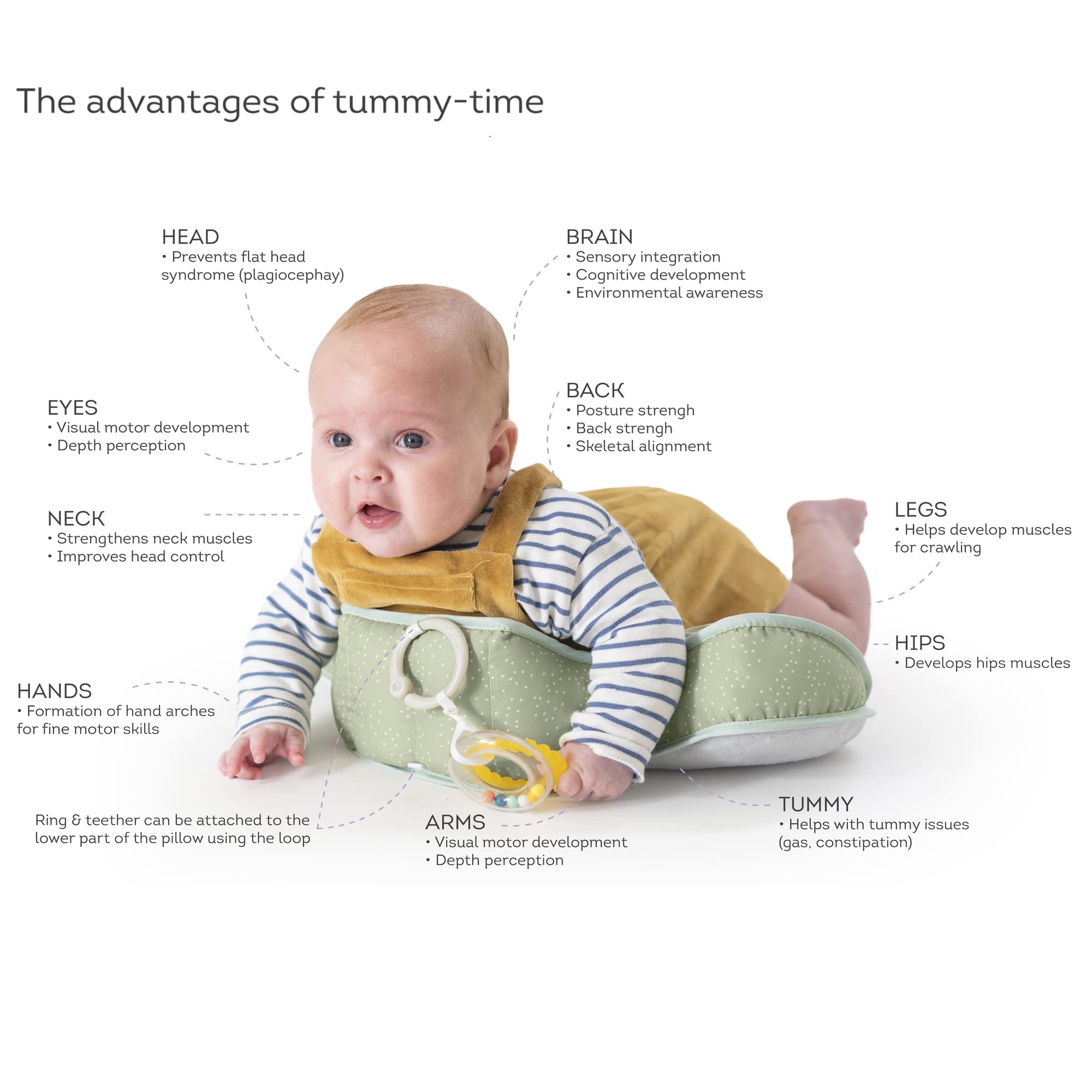 Ergonomic ascending Taf Toys design supports chest and arm movement
