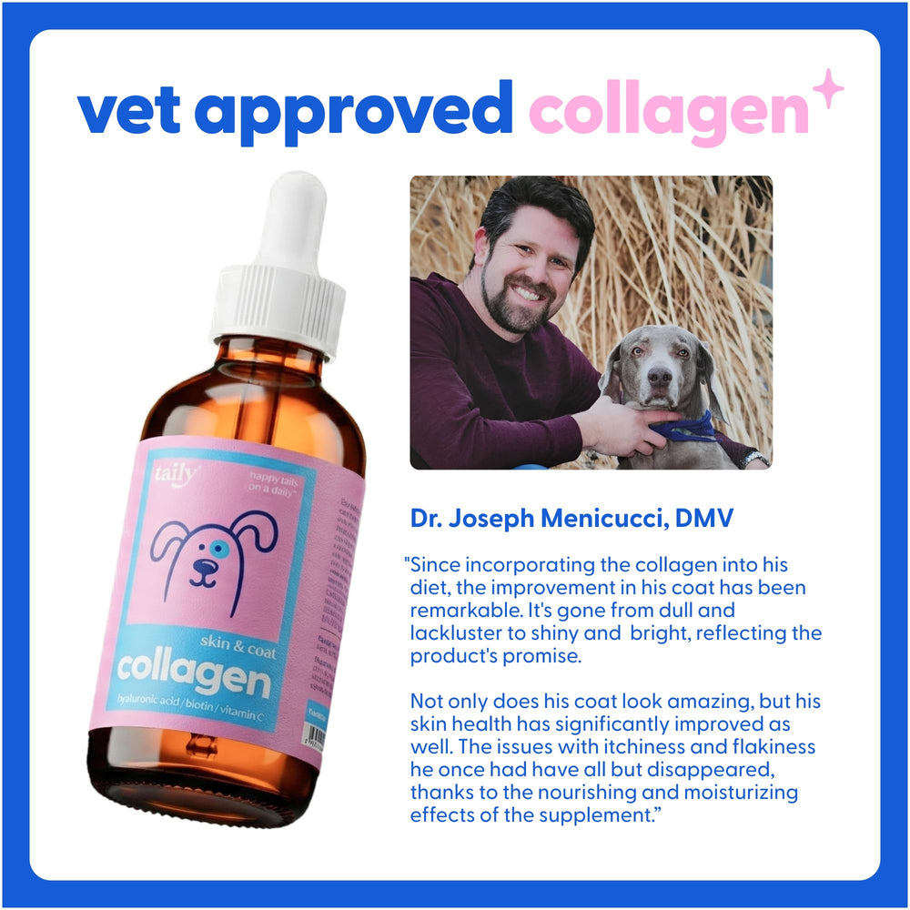 Taily collagen for cats enhances coat brightness and skin hydration