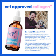 Taily collagen for cats enhances coat brightness and skin hydration