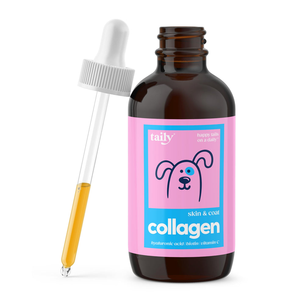 Taily liquid collagen for dogs boosts coat shine and healthy skin
