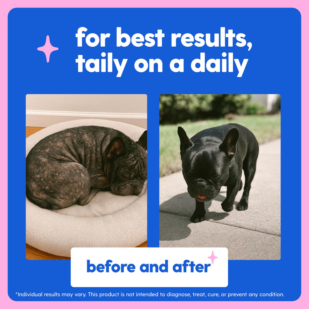 Pet owner sees improved skin moisture and reduced flakiness with Taily