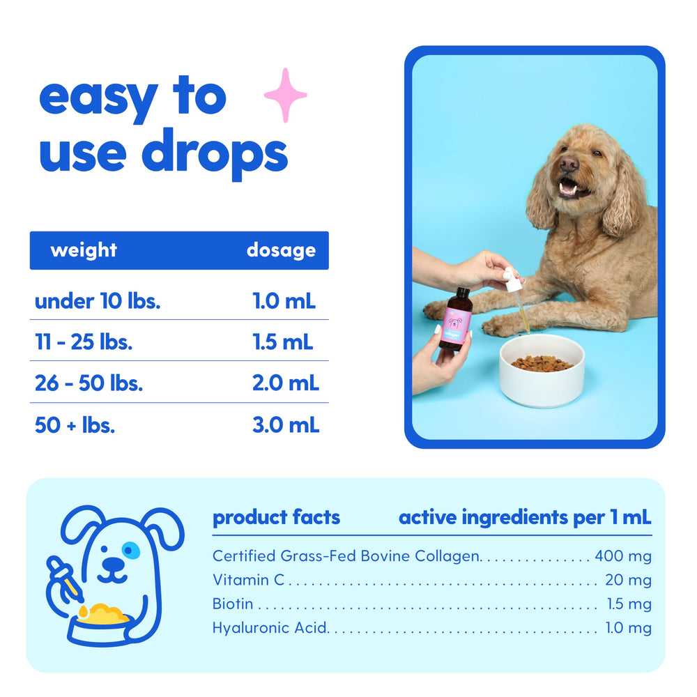 Veterinarian-recommended formula supports skin and coat health