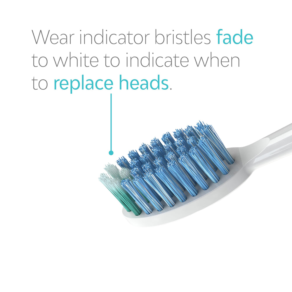 TAO Clean UV sanitizing dock shown for hygienic drying after brushing