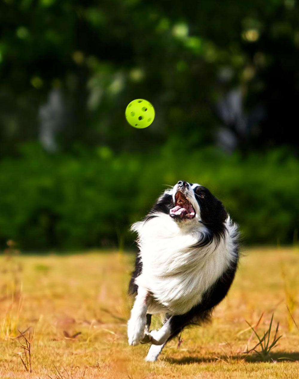 Tarutaru color-bright balls help beginners track spin and distance.