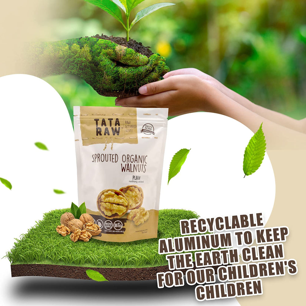 Soaked and sprouted Tata Raw Walnuts during processing