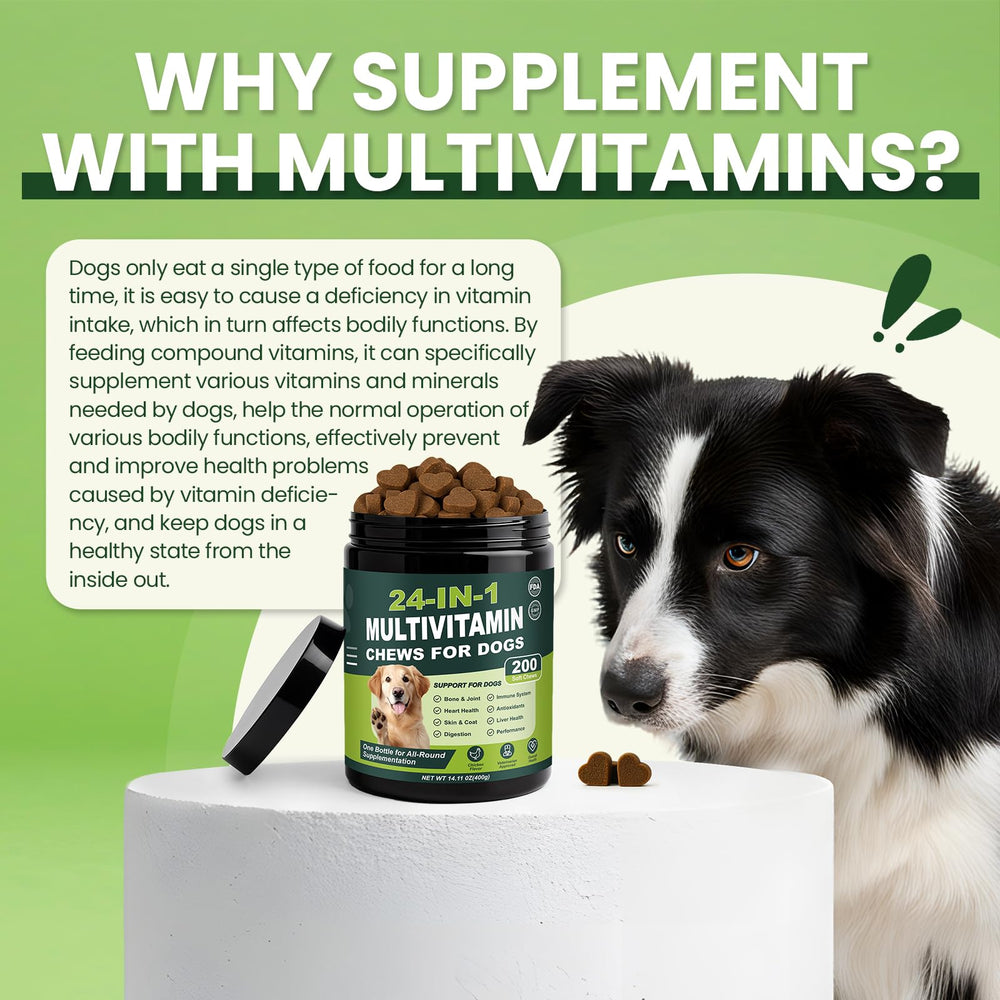 Tciika probiotic formula aids digestion and nutrient absorption in dogs.