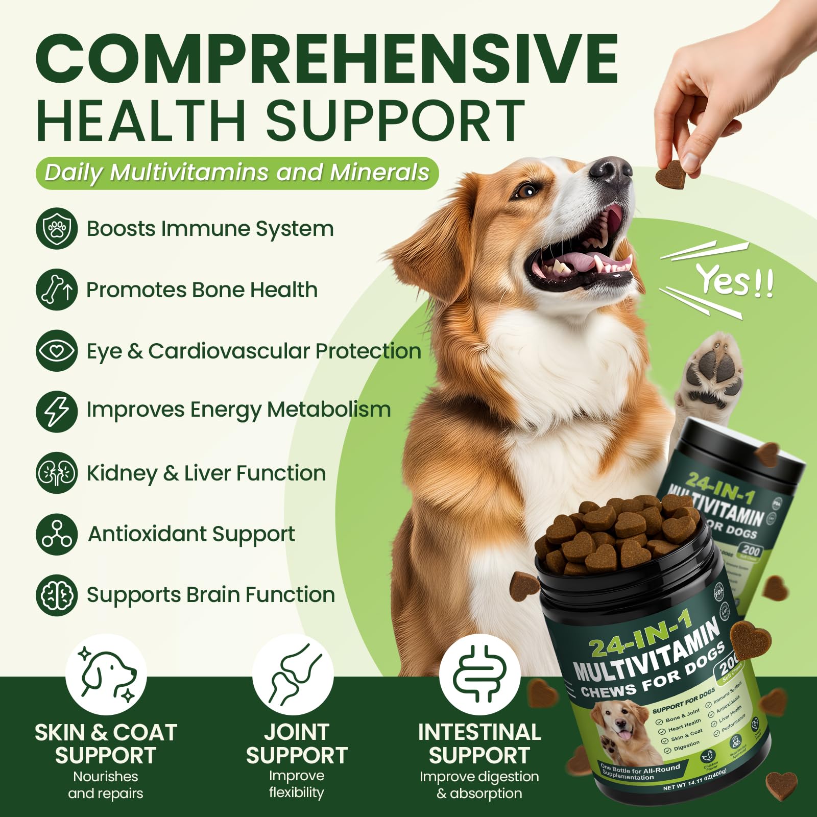 Tciika dog vitamins with probiotics for gut health and steady energy.