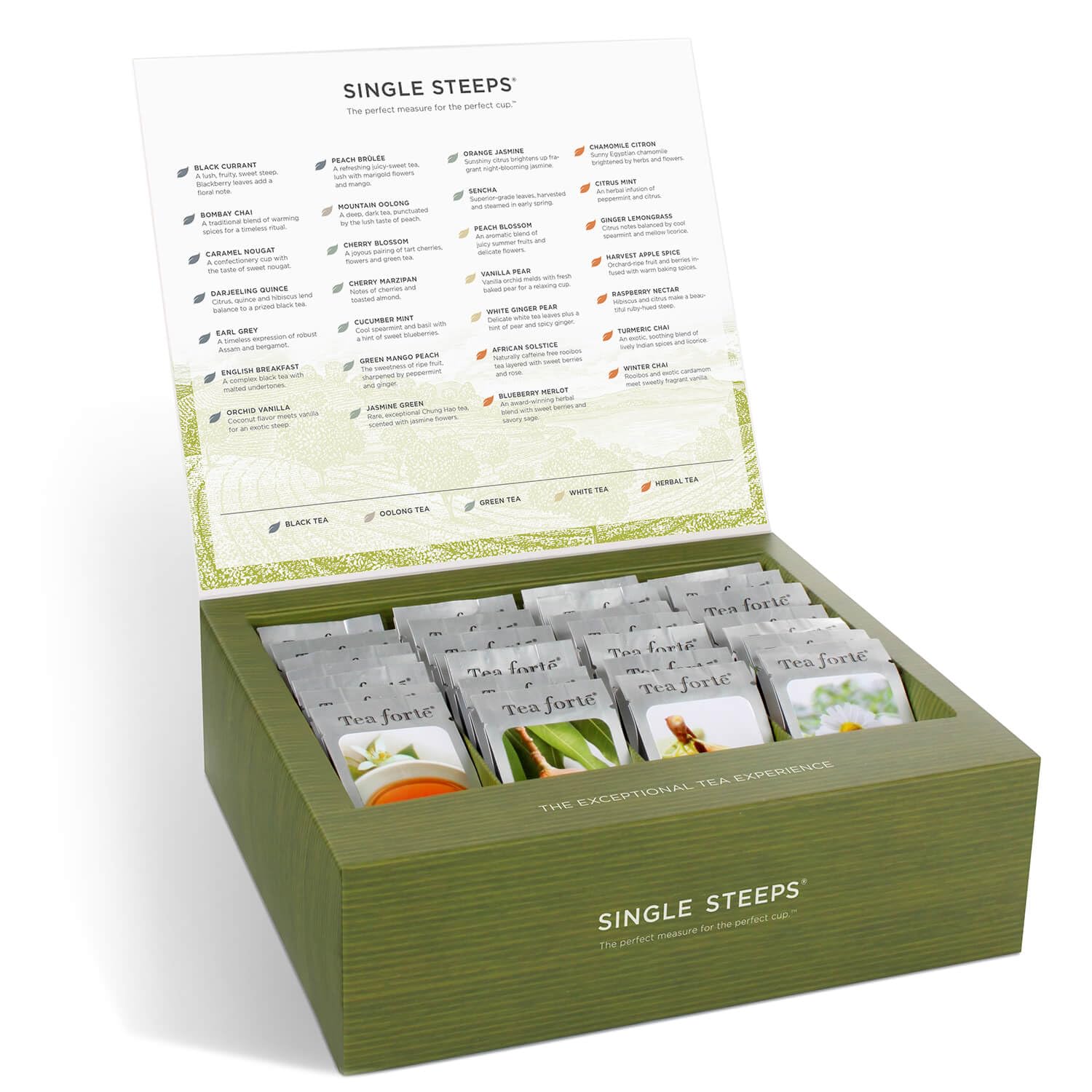 Brewed Tea Forte cup capturing warm aroma and smooth flavor
