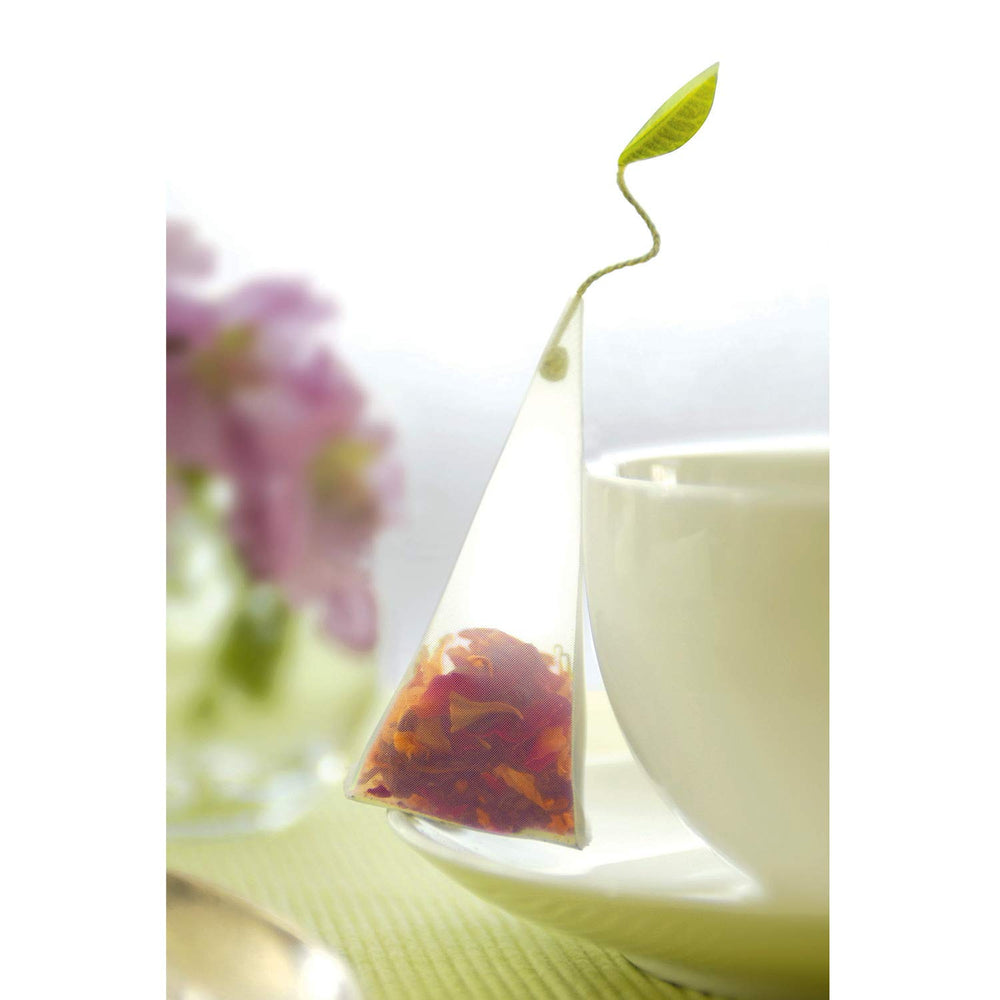 Elegant Tea Forte gift packaging highlighting premium herbal blends