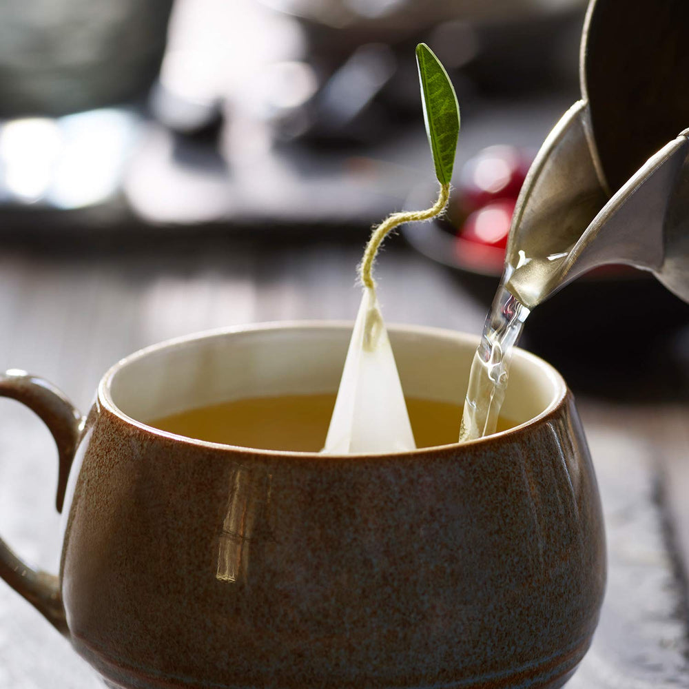 Handcrafted pyramid infuser from Tea Forte unfurling delicate tea leaves