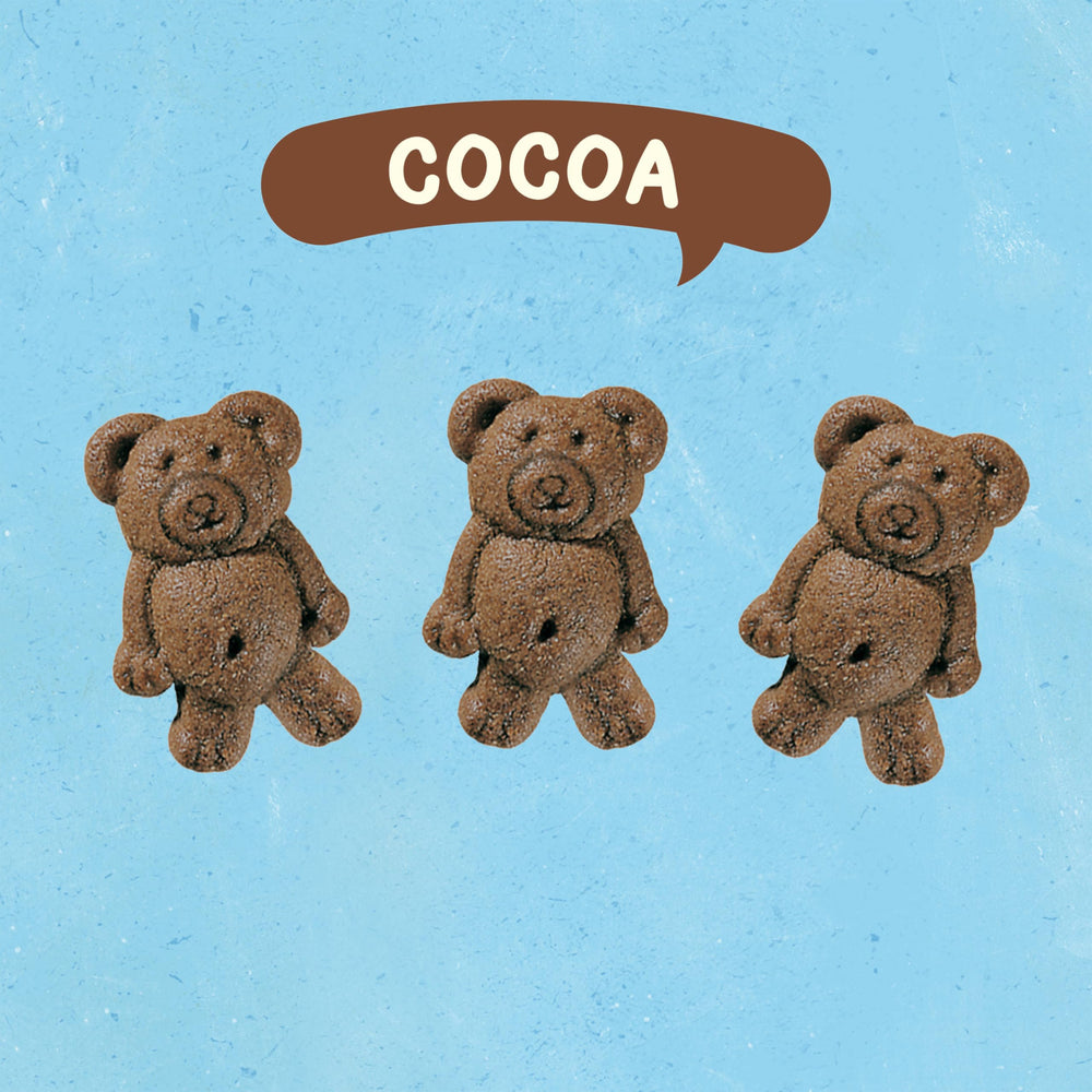 Teddy Grahams on-the-go snack for busy days and trips.