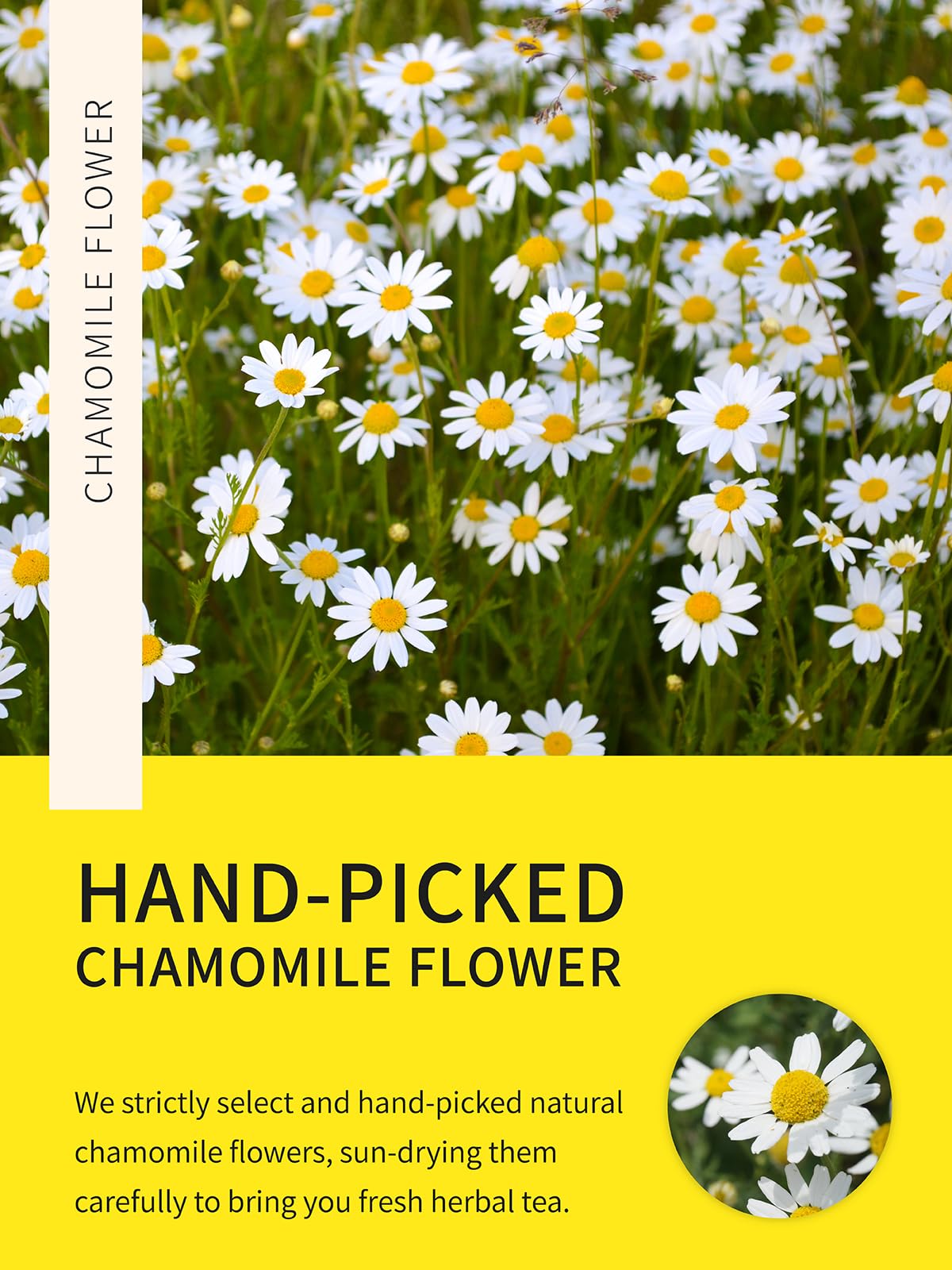 TeeLux Chamomile tea bags packaging highlights eco-friendly, compostable bags and fresh quality.