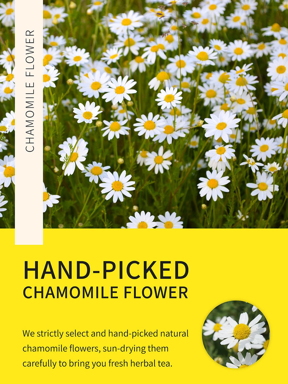 TeeLux Chamomile tea bags packaging highlights eco-friendly, compostable bags and fresh quality.