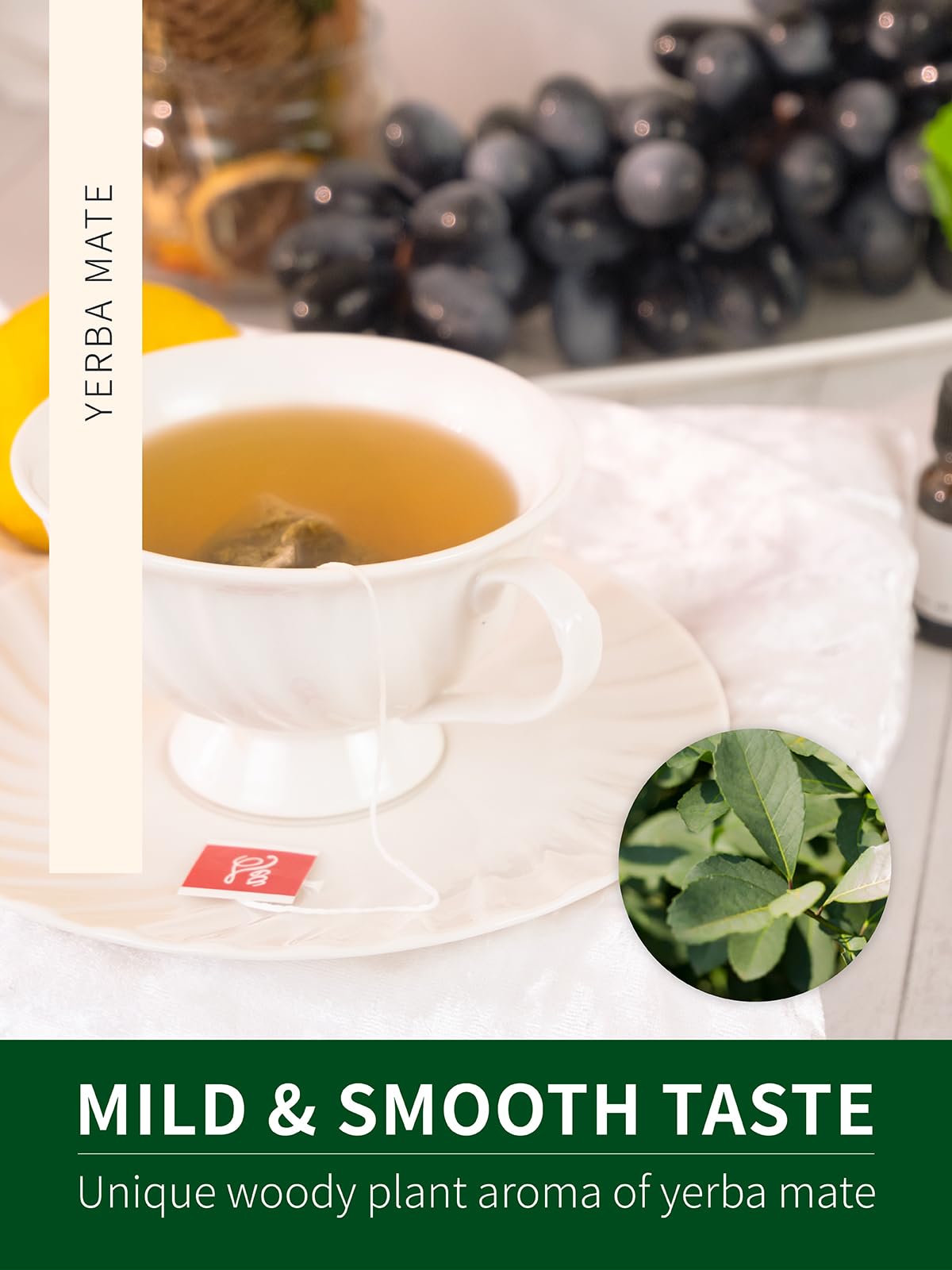 Teelux eco-conscious corn fiber tea bags highlight sustainable packaging