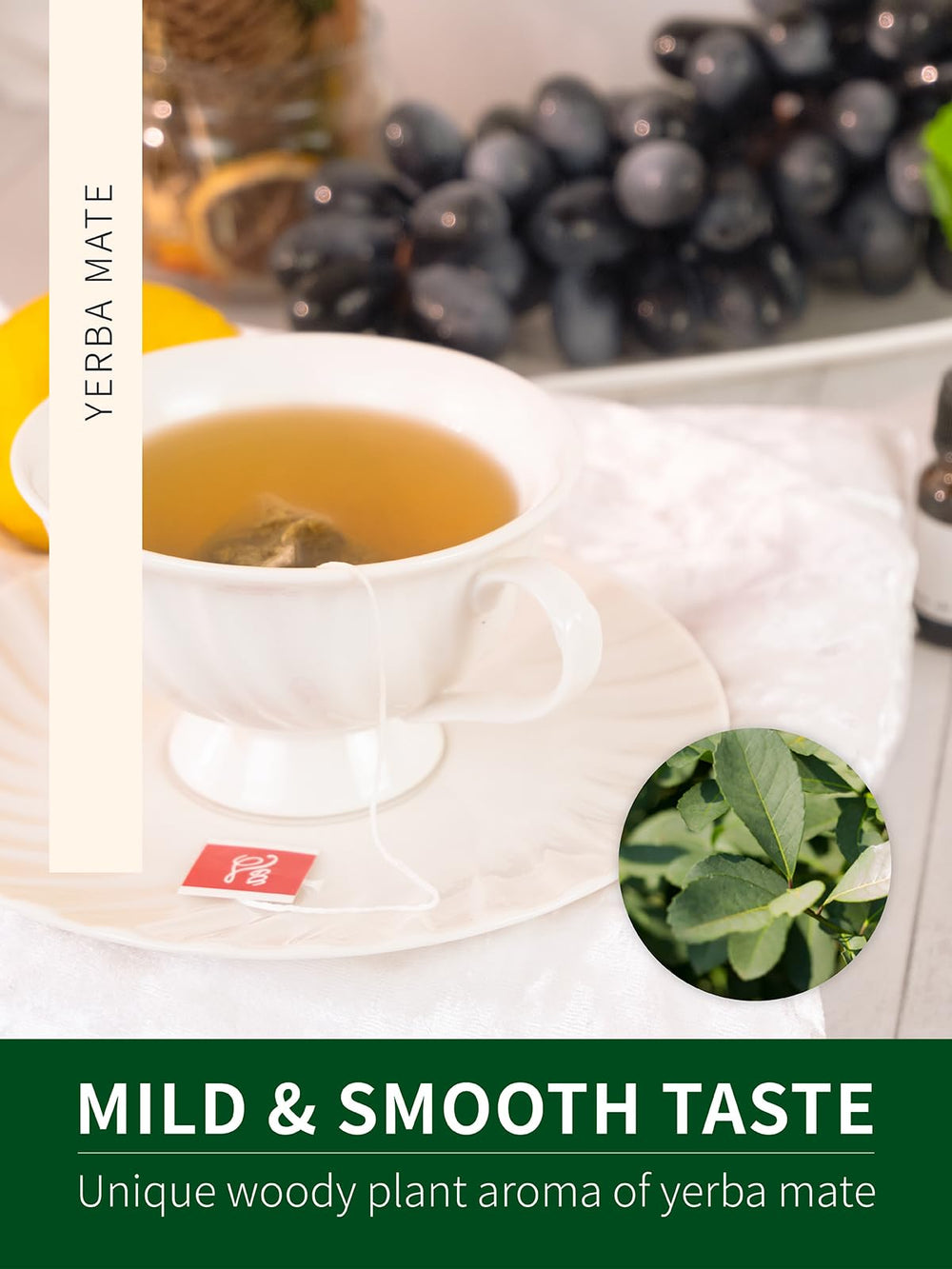 Teelux eco-conscious corn fiber tea bags highlight sustainable packaging
