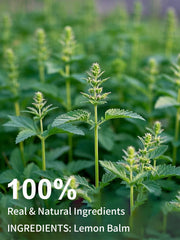 TeeLux Lemon Balm leaves close-up highlighting fresh, natural ingredients.