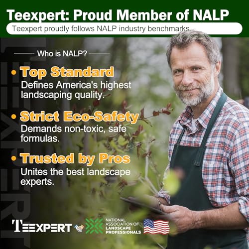 Easy spray, pour, or mix application with Teexpert rock glue.