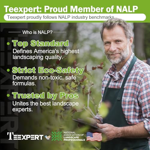 Teexpert stone glue for walkways creates tidy landscaping edges.