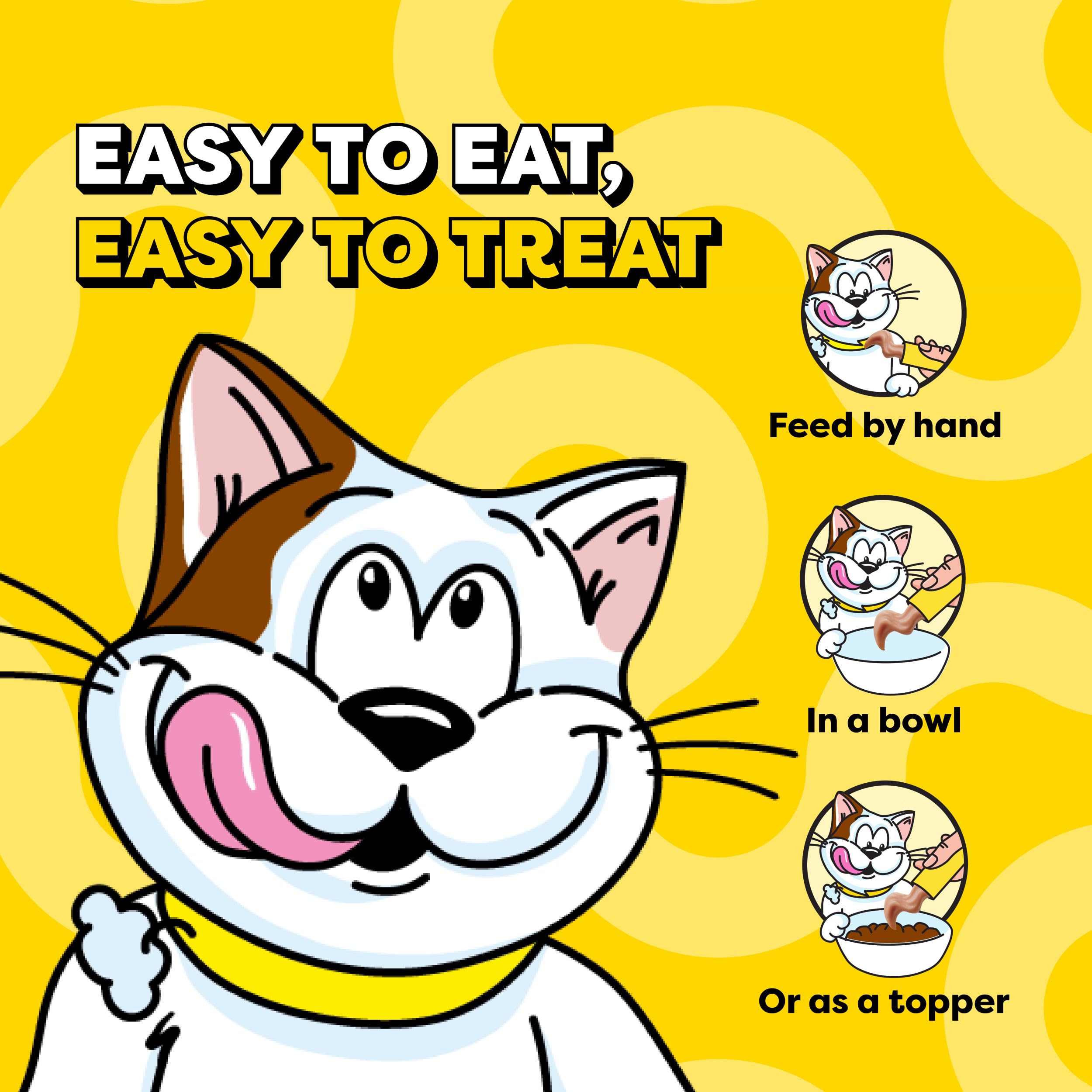 Temptations cat snack served in a bowl during mealtime.