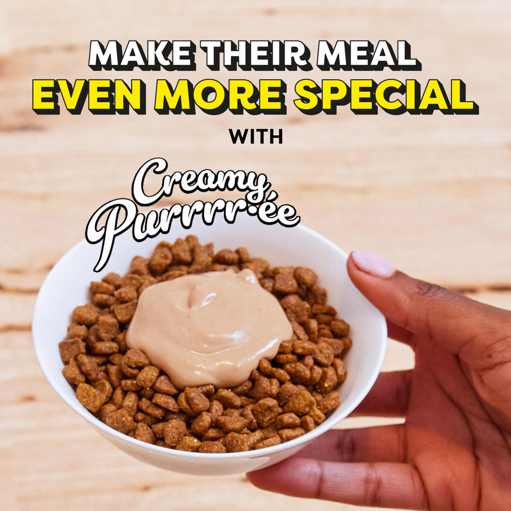 Moisture-rich Temptations puree snack for a juicy cat treat.