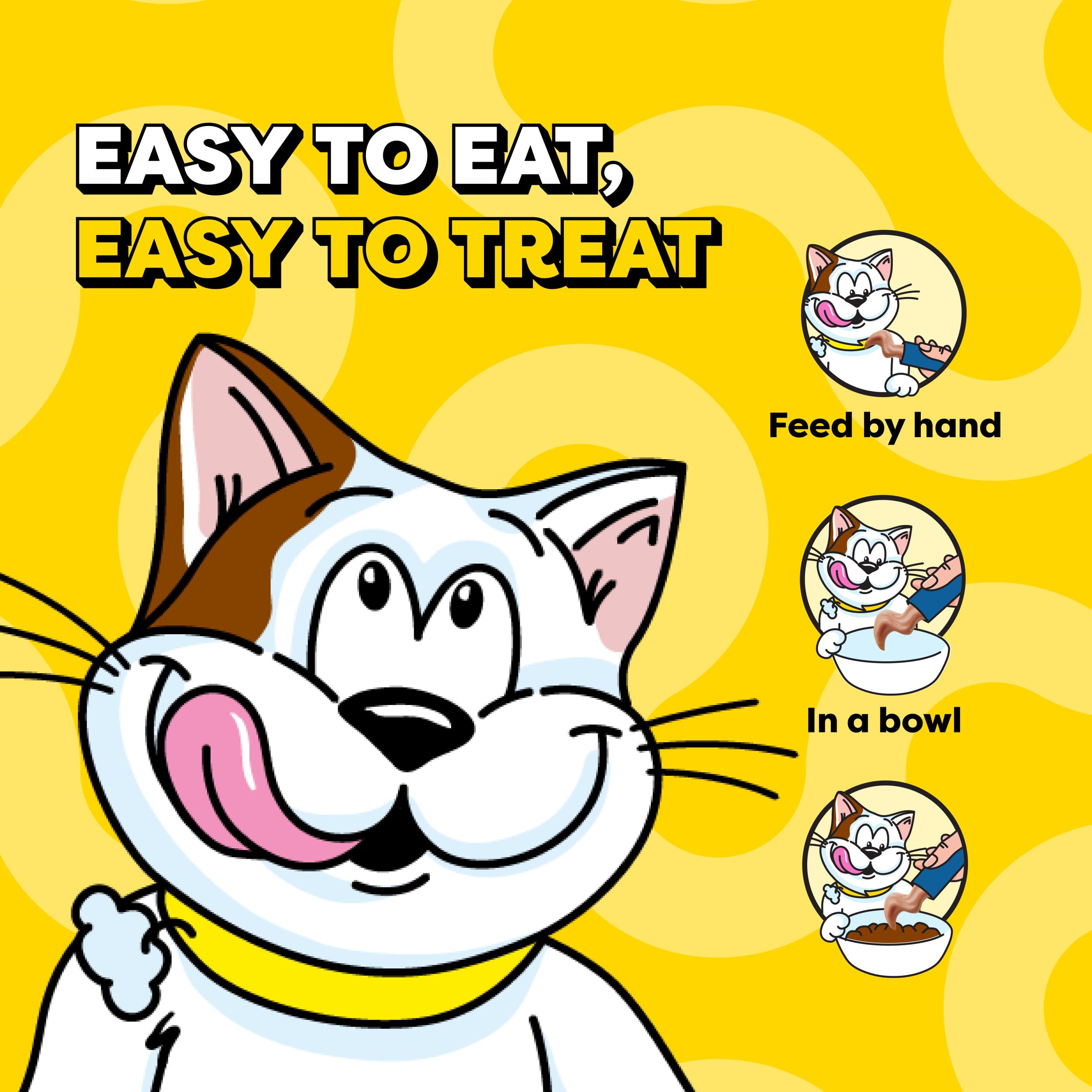 Temptations Creamy Puree Treat in Dish — can top meals for added flavor.