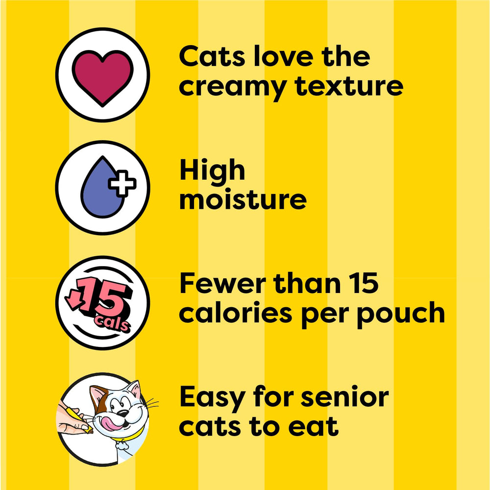 Temptations puree served in a dish as a tasty topper option for cats.
