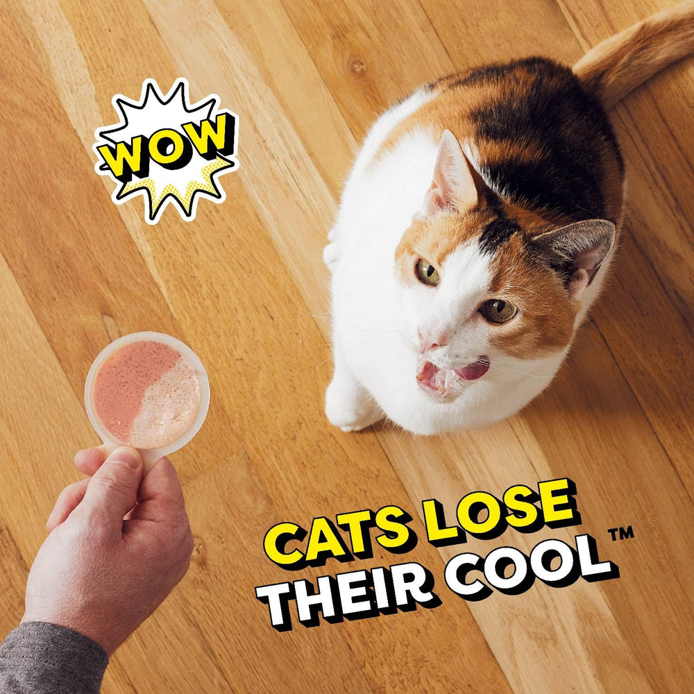 Temptations creamy puree adult cat treat