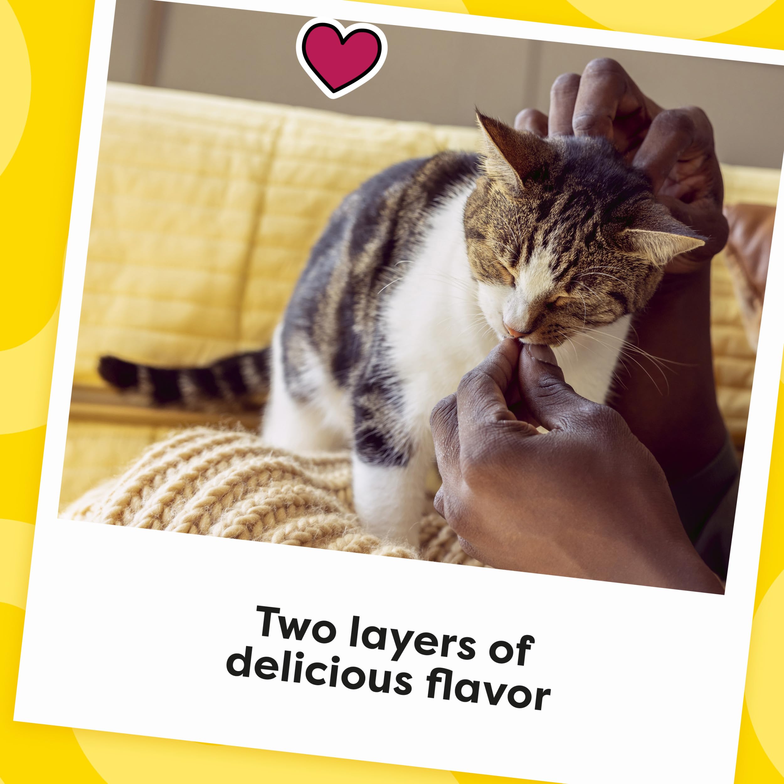 Purr-worthy snack your cat eagerly comes for.