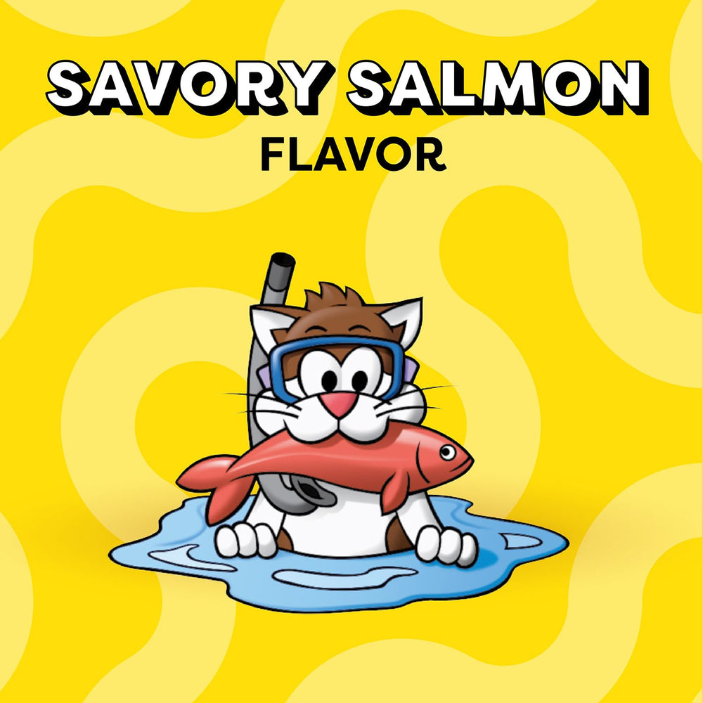 Temptations salmon-flavor dry cat treats close-up texture highlights dual crunch.