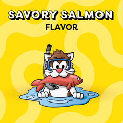 Temptations salmon-flavor dry cat treats close-up texture highlights dual crunch.