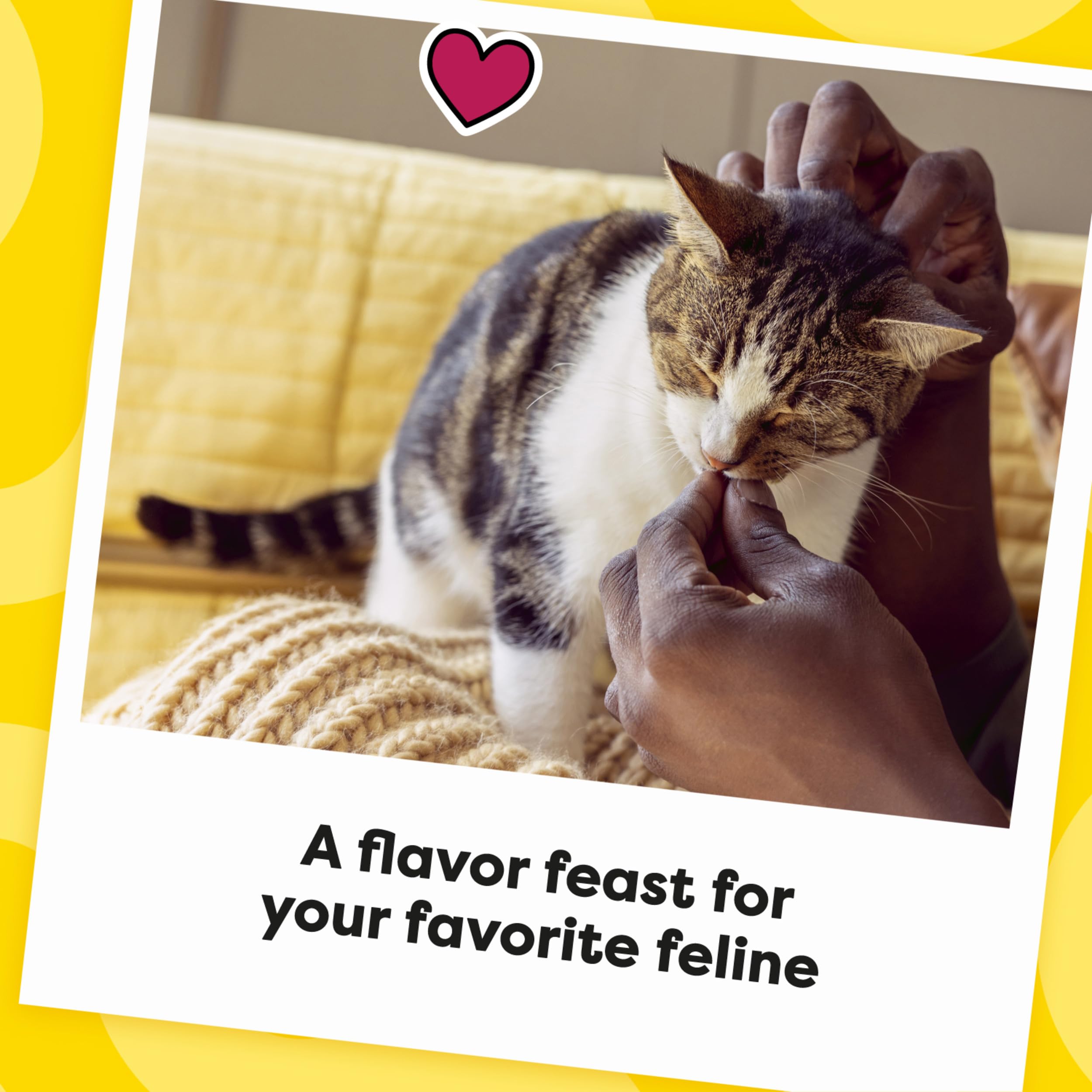 Temptations Surfer's Delight purr-fect snack for daily rewards