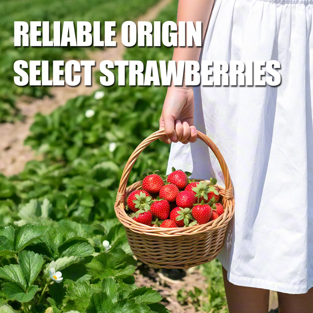 Ternio premium freeze-dried strawberries ideal for baking desserts and toppings.
