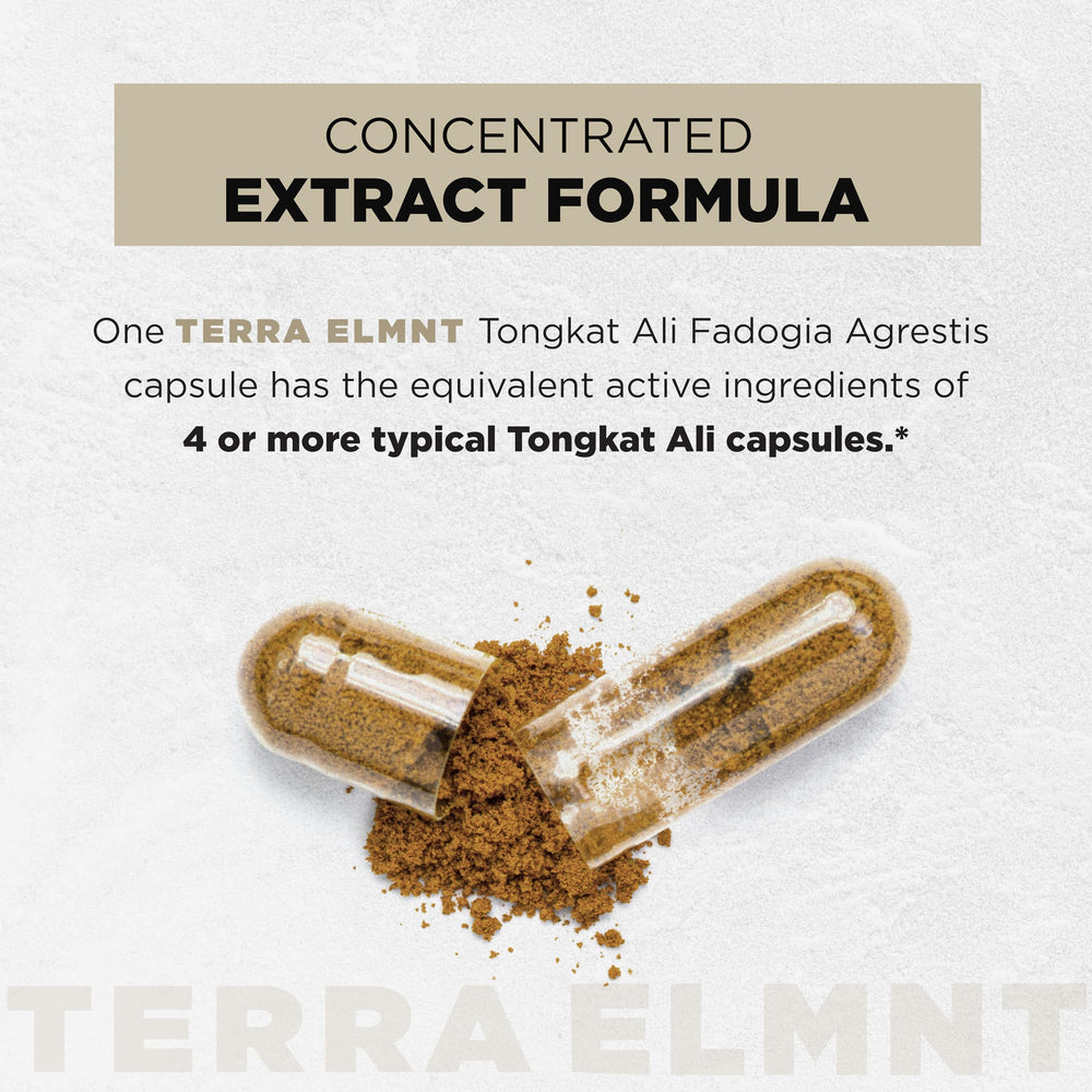 Terra Elmnt Tongkat Ali with 10% Eurycomanone for potent male wellness.