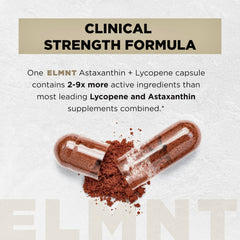 Terra Elmnt microalgae origin emblem signals natural carotenoids.