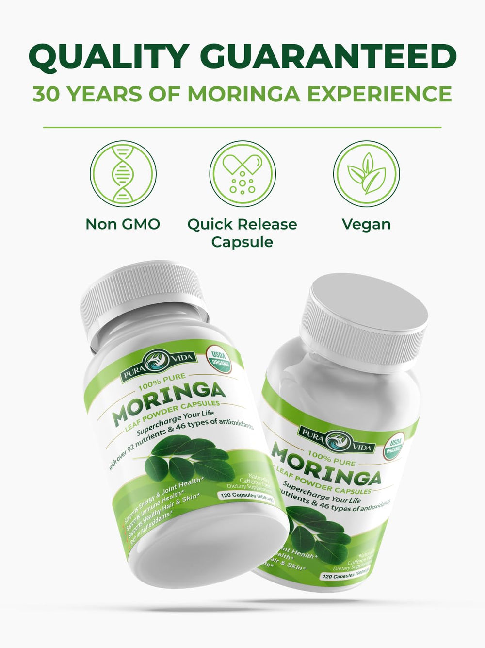 Terra360 Pura Vida Moringa plant leaves display natural nutrition.