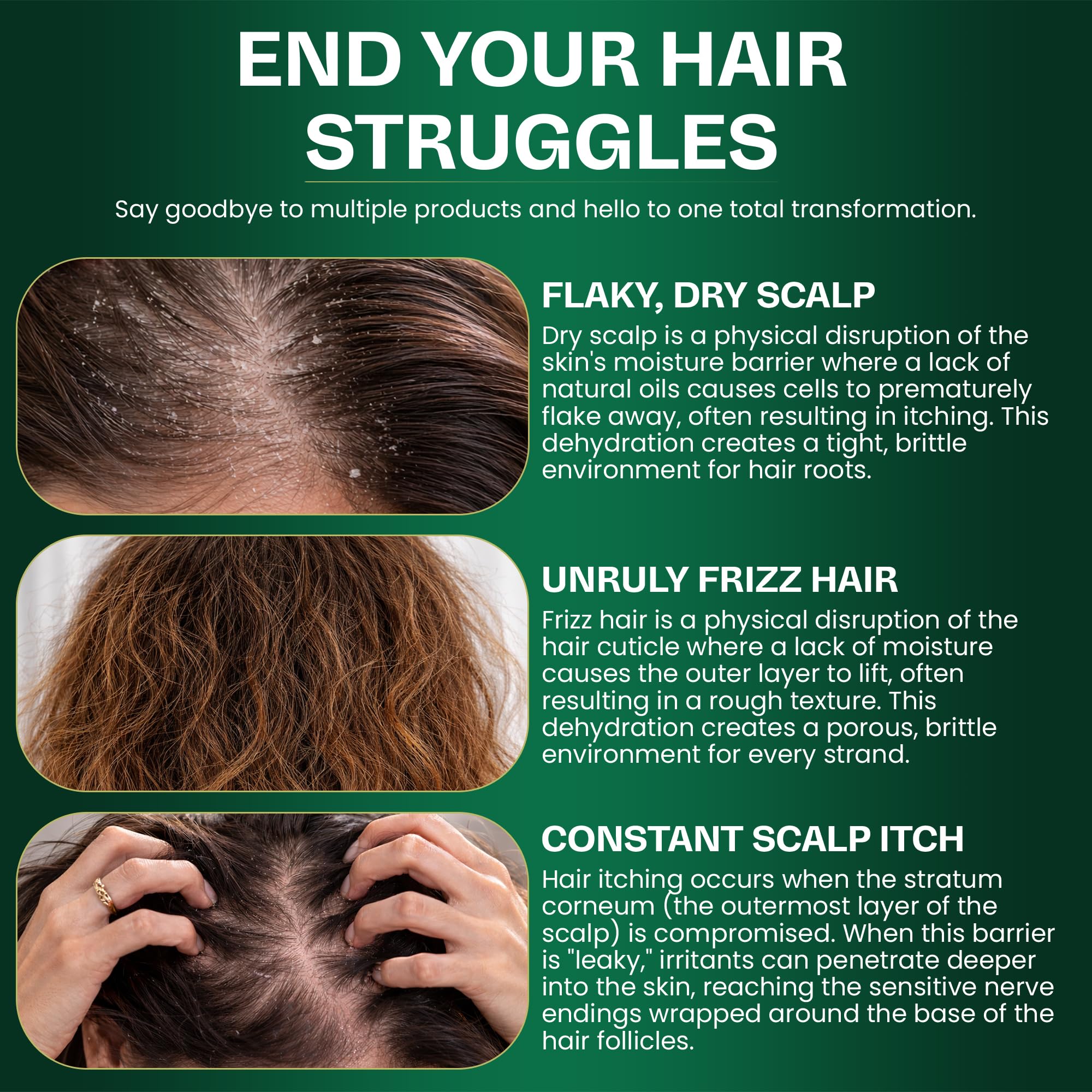 Terramed shower-ready routine image suggests simple integration into daily hair care.
