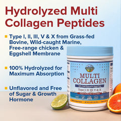 Terranics collagen powder dissolves quickly into coffee for quick enrichment