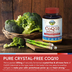 Terranics CoQ10 bottle front label indicating USA-made quality.