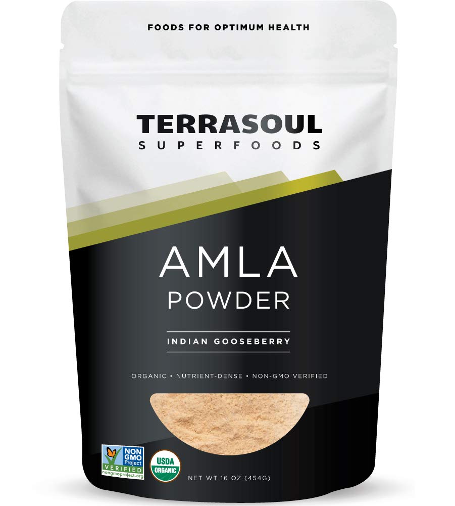 Terrasoul Amla Berry Powder bottle: convenient 16 oz jar for antioxidant support