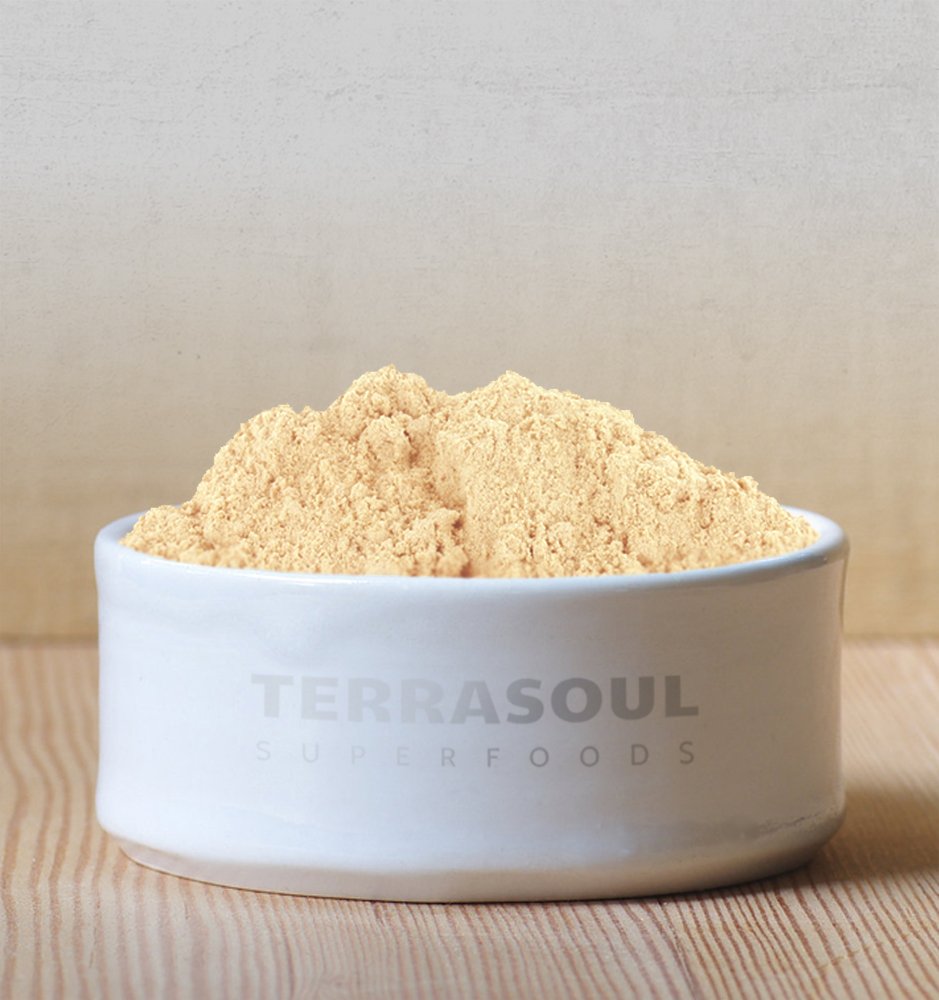 Close-up texture of Terrasoul gelatinized maca powder for smooth mixing.