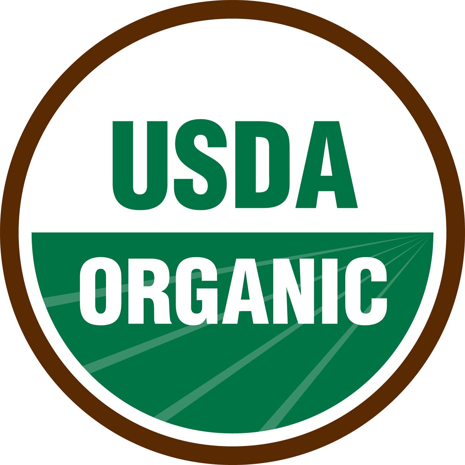 Terrasoul Organic Dried Mango Slices on-the-go serving as a convenient healthy snack
