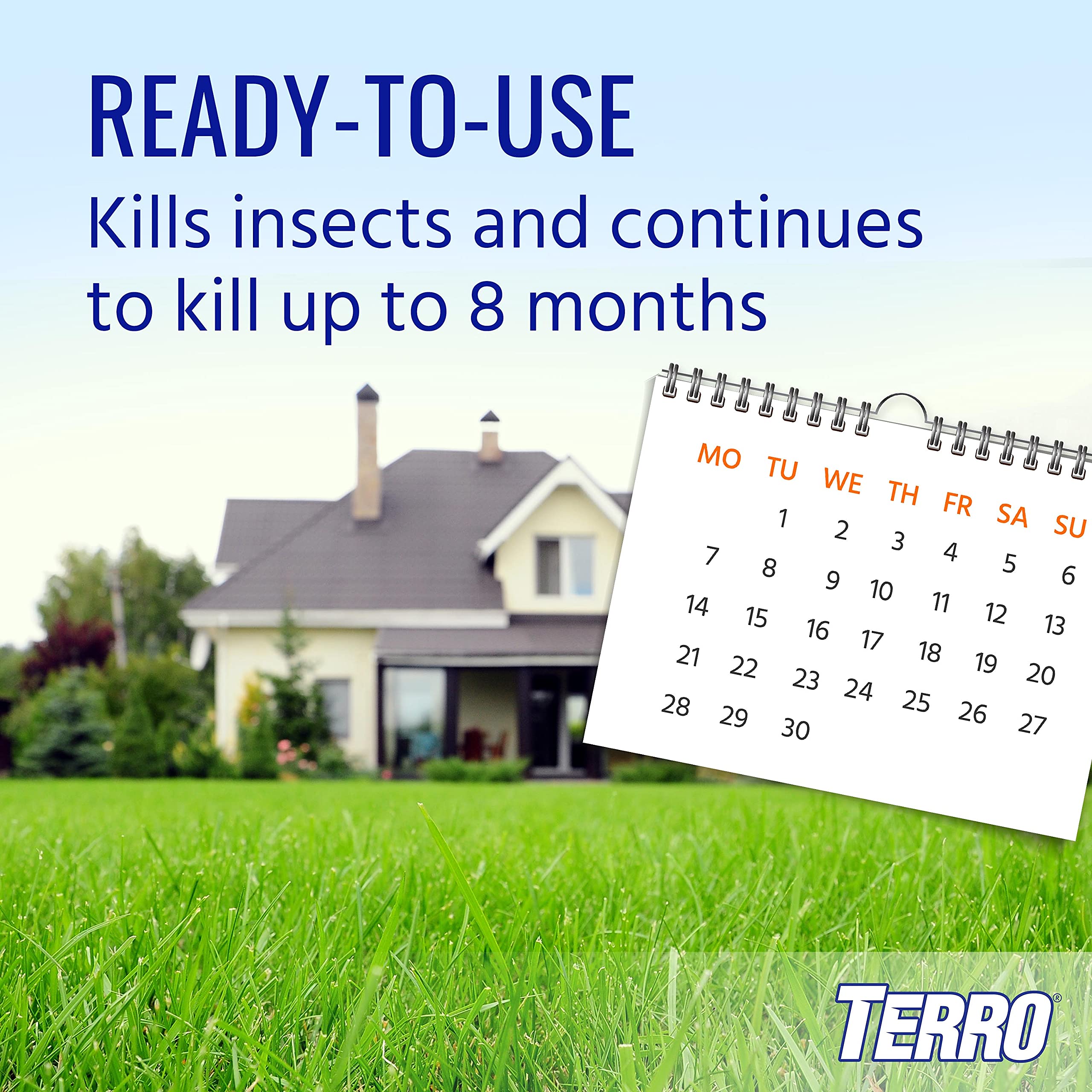 Terro Ant Dust kills ants on contact, reducing activity.