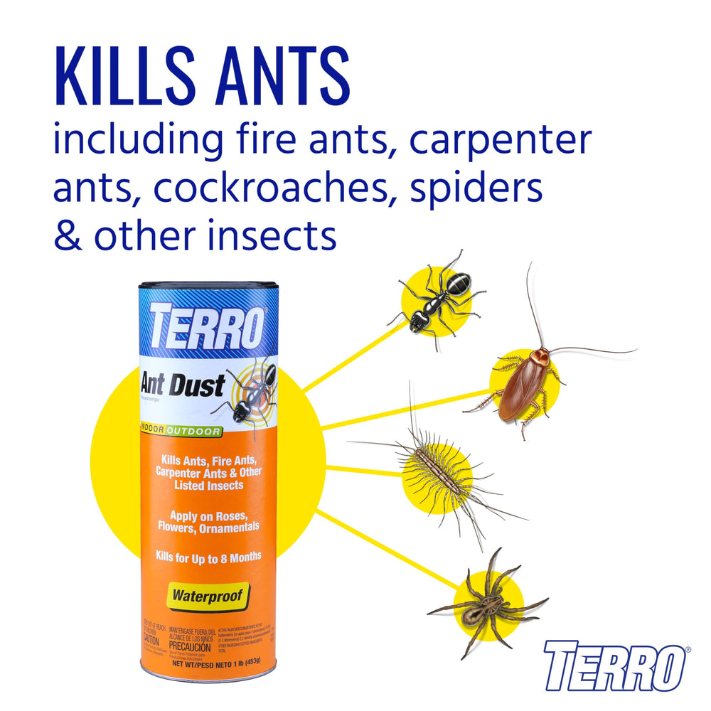Terro Ant Dust applied on cracks and crevices for long-lasting control.