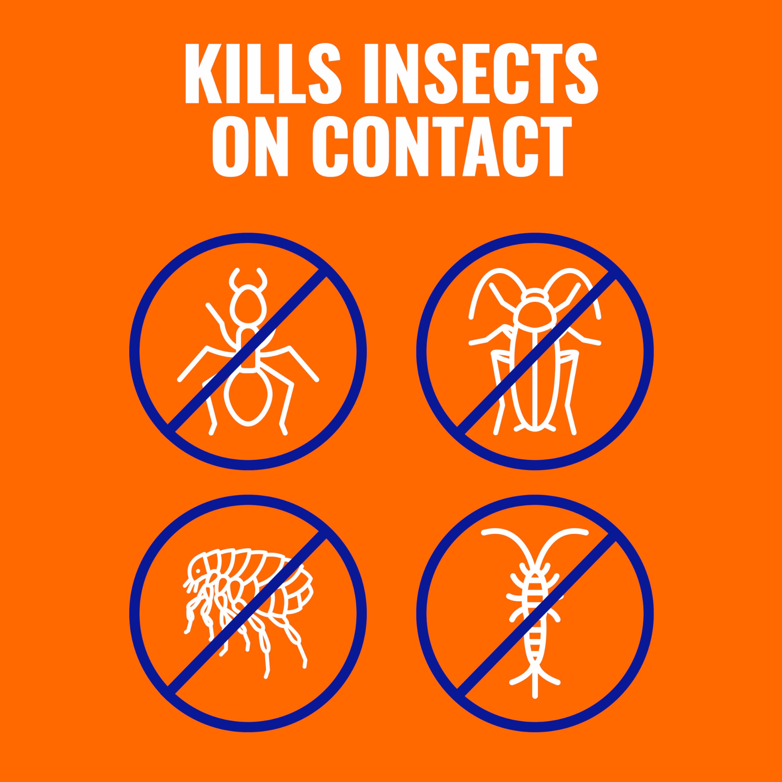 TERRO Ant Killer Plus ant hill spot treatment for targeted control.