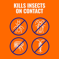 TERRO Ant Killer Plus ant hill spot treatment for targeted control.