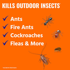 TERRO Ant Killer Plus fire ant mound treatment for quick outdoor relief.