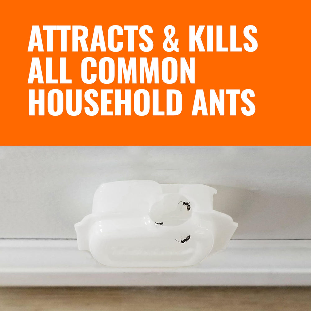 Close-up of Terro bait attracting common household ants.
